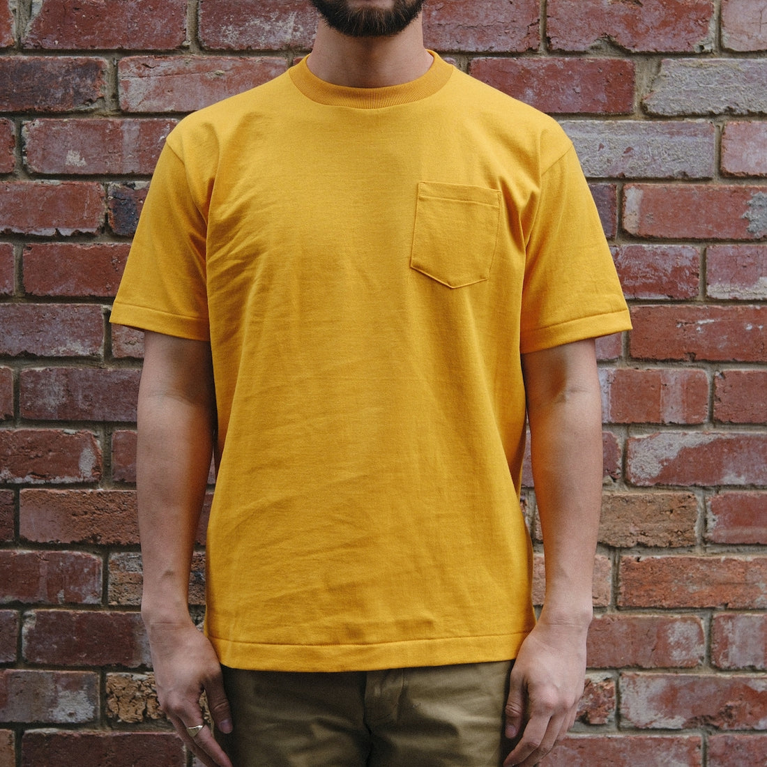 Anatomica Pocket Tee / Gold