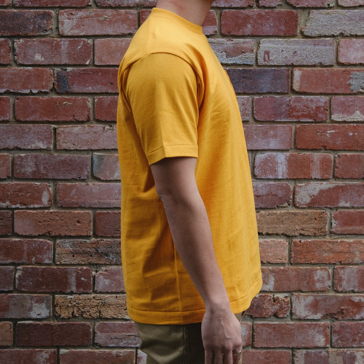 Anatomica Pocket Tee / Gold