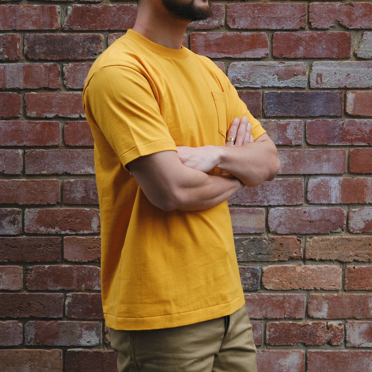 Anatomica Pocket Tee / Gold