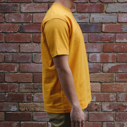 Anatomica Pocket Tee / Gold
