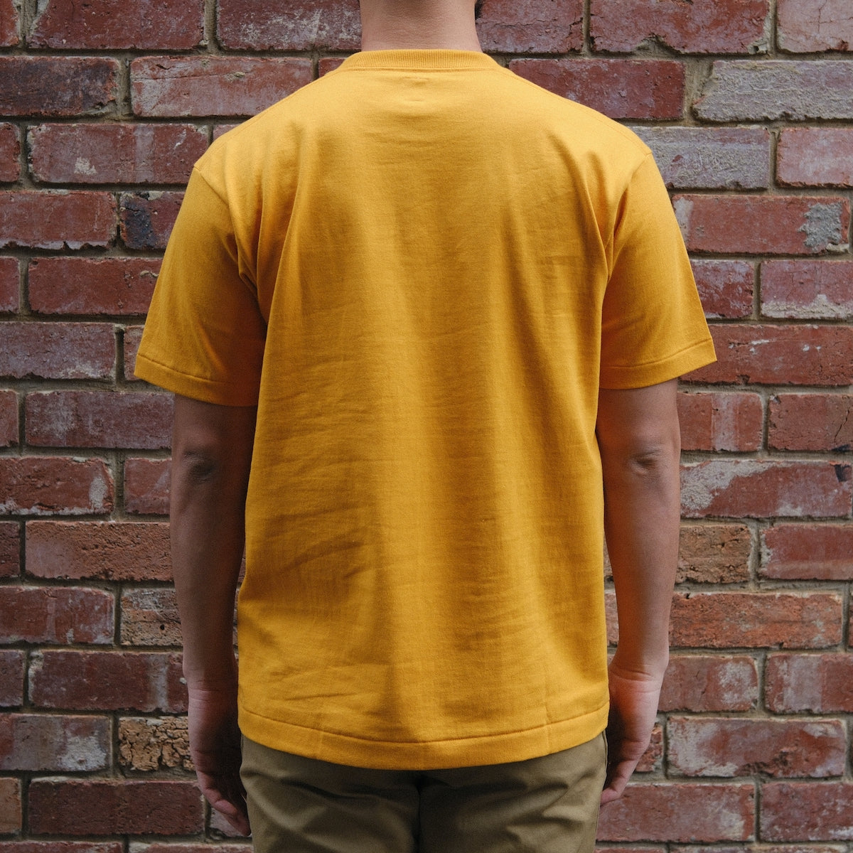 Anatomica Pocket Tee / Gold