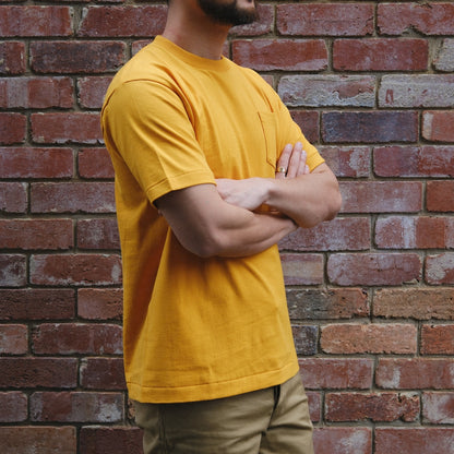 Anatomica Pocket Tee / Gold