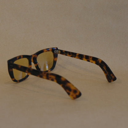 Doxa / Ecaille Fonce