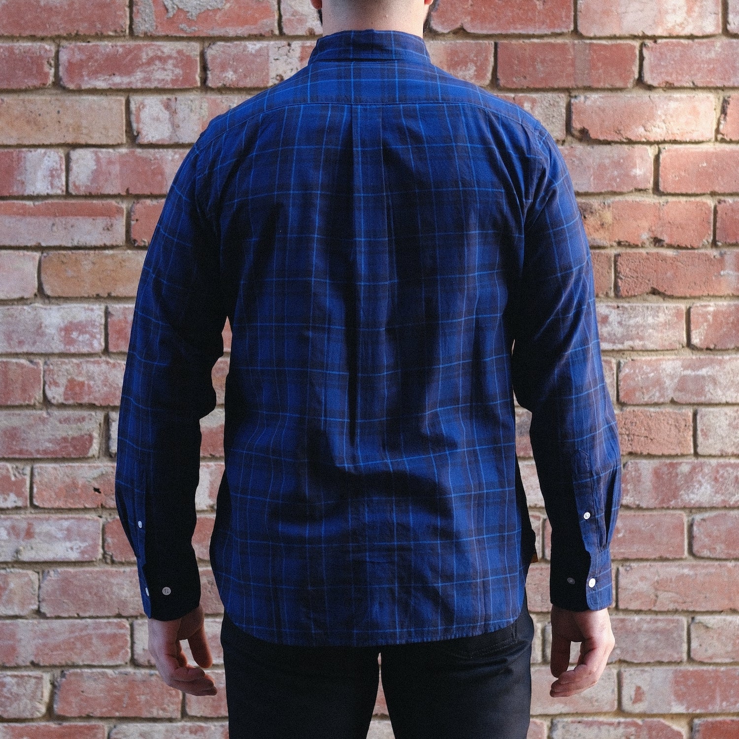 Madras Button Down Shirt / Navy Check