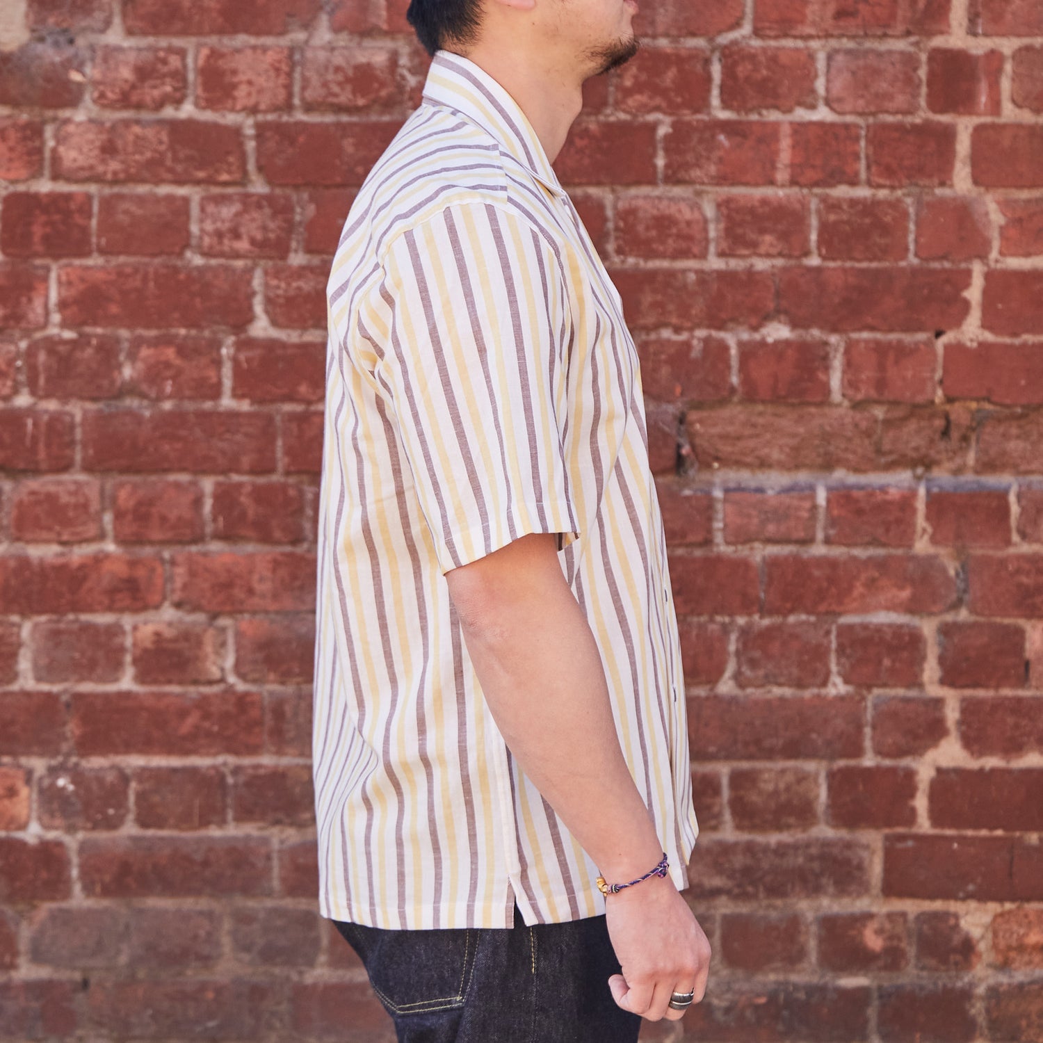 Linen Shirt Short Sleeves / Stripe